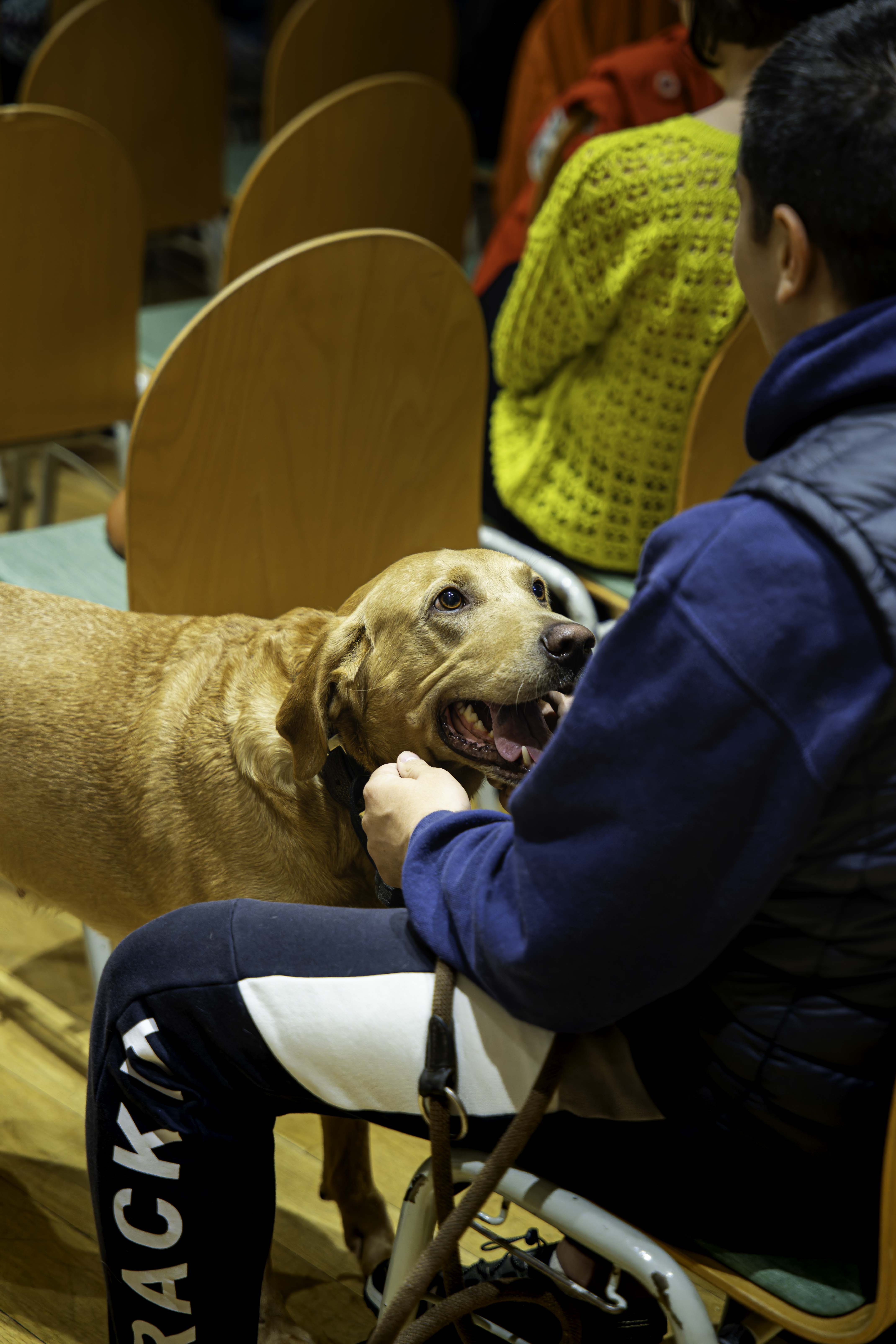 Foto Zuhörende mit Blindenhund